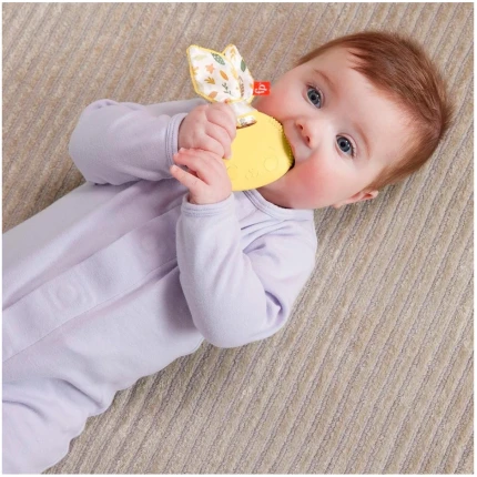 Ζωάκια Δραστηριοτήτων Sensimals - Κουδουνίστρα Για Νεογέννητα FISHER PRICE (HRB19)